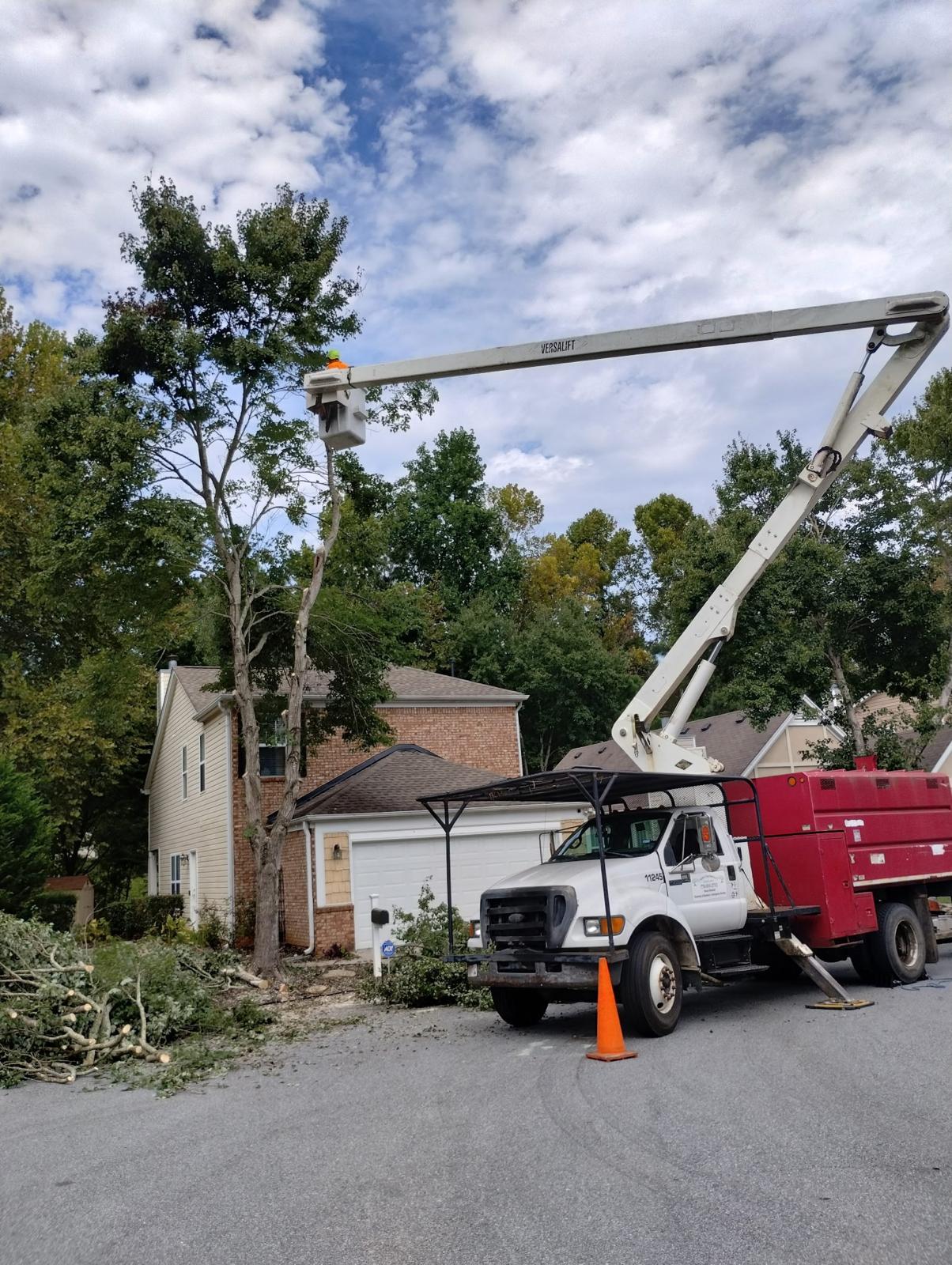 Tree Trimming & Pruning